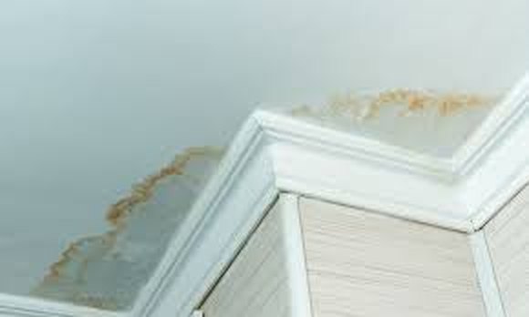 The brown ring a leak leaves on a ceiling, running along the crown moulding at a corner